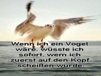 Wenn ich ein Vogel w�re