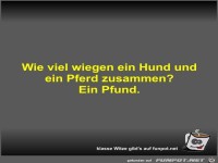 Wie viel wiegen ein Hund und ein Pferd zusammen?