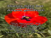 Dieser Satz hat mir die Augen geffnet