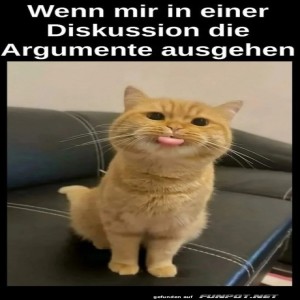 fun-Bild: Keine Argumente mehr