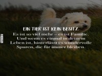 Ein Tier ist mehr als ein Besitz