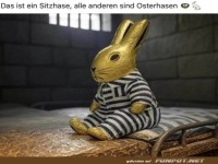 Lustiger Schokoladenhase im Gefängnis