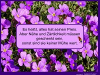 Alles hat seinen Preis