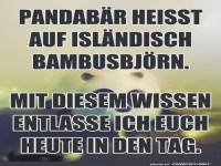 Wissenswertes ber Pandabren und Island