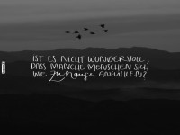 Die Weisheit der Zugvgel