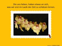 Die uns lieben