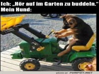 Hund im Bagger-Einsatz