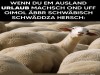 weiter