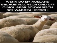 Das verwirrte schw�bische Schaf im Ausland