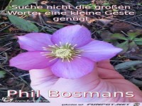 Suche nicht die grossen Worte eine kleine Geste genuegt 