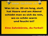was ist ca 20 cm lang 