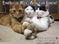 Einer fuer alle