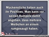 Mueckenstiche-haben-auch-was-positives
