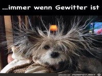 Bei Gewitter