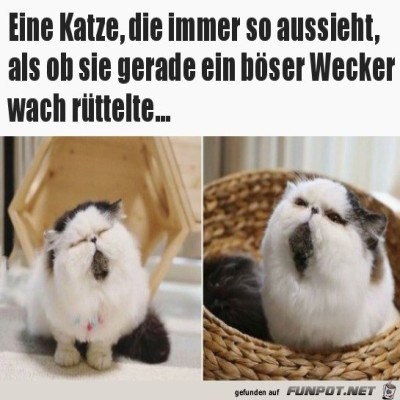 Dieses-Gesicht.jpg von Carlos