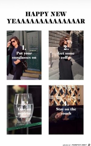 Kater-im-neuen-Jahr.jpg auf www.funpot.net