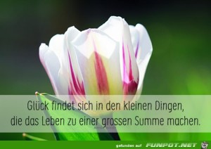 Glck-findet-sich.jpg auf www.funpot.net