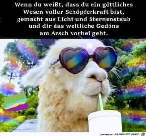 Du-bist-ein-göttliches-Wesen.jpg auf www.funpot.net