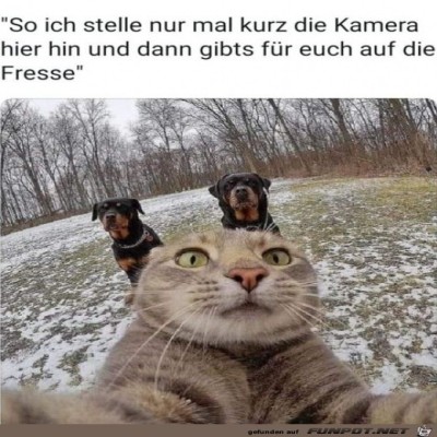 Nur-noch-kurz-die-Kamera-aufstellen.jpg von Maddin2004