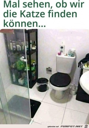 Wo-ist-die-Katze?.jpg auf www.funpot.net