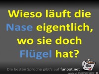 Die Nase l�uft