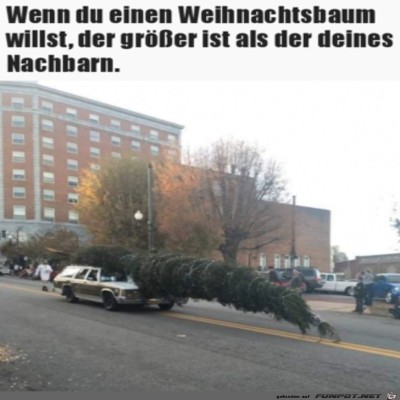 Riesiger-Weihnachtsbaum.jpg von Luis