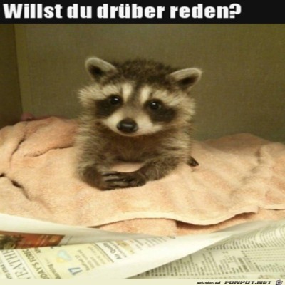 Tierischer-Therapeut.jpg von Mia
