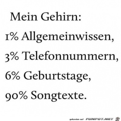 Hirn.jpg von Tilo