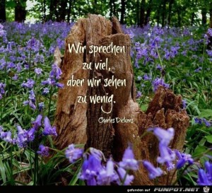 Wir-sprechen-zu-viel.jpg auf www.funpot.net