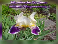 Schnen Pfingstsonntag 
