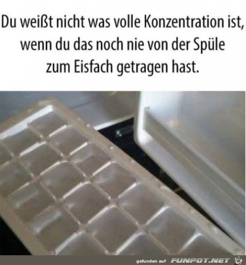 Volle-Konzentration.jpg auf www.funpot.net