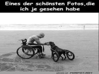 Schönes Foto