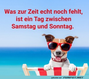 Der-fehlt-tatsächlich.jpg auf www.funpot.net