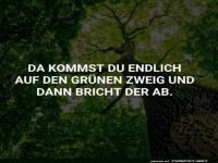 Natur und Lebensweisheit