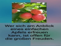wer sich am annblick