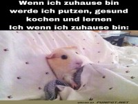 To-Do vs. Realit�t: Der Kuschelwahnsinn!
