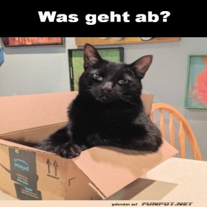 fun-Bild: Was geht ab?