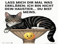 lass dir mal was erkl�ren