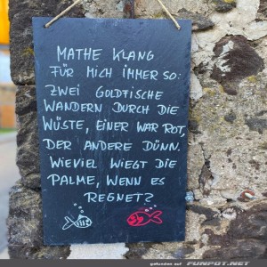 Mathe-Mysterien:-Der-Goldfisch-Code.jpg von Clarissa