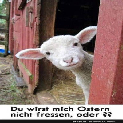 Lamm-mit-Oster-Bedenken.jpg von Goldlocke