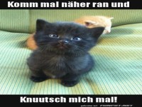 Komm mal näher