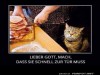 weiter
