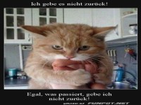 Ich gebe das nicht her