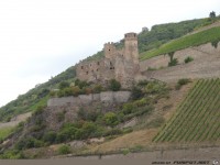 118 Burg Ehrenfels