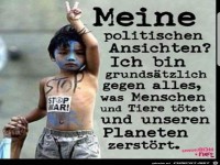meine politischen Ansichten