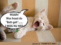 Was heisst ins Bett gehn