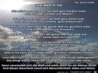 welt in mir syra kolb