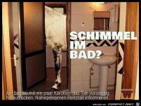 Schimmel im Bad