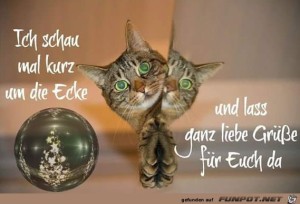 Schau-mal-kurz-um-die-Ecke.jpg auf www.funpot.net