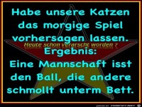 Spielergebnis-Vorhersage